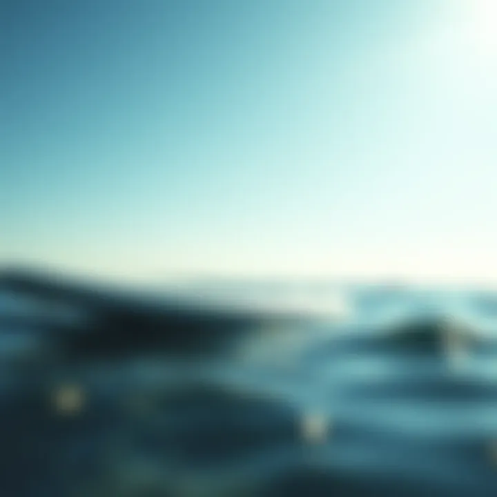 Comparison of different paddle board shapes emphasizing their unique attributes