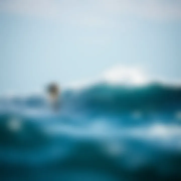 Notable Exploring Porto Escondito: A Surfer's Hidden Gem Notable Exploring Porto Escondito: A Surfer's Hidden Gem