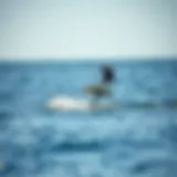 A powered paddle board hydrofoil gliding over the water surface