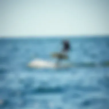 Hydrofoil in Action: Gliding Effortlessly A powered paddle board hydrofoil gliding over the water surface