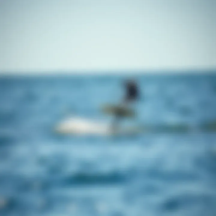 Hydrofoil in Action: Gliding Effortlessly A powered paddle board hydrofoil gliding over the water surface