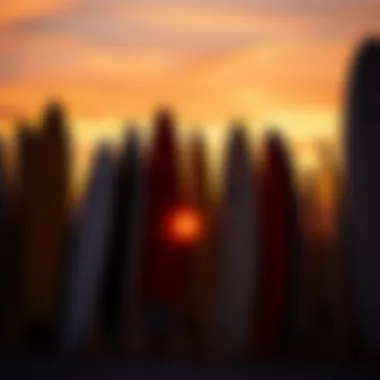 A collage of surfboards against the backdrop of a sunset on a Californian beach