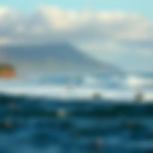 Surfers Riding the Waves at Reunion Island Breathtaking view of Reunion Island's coastline with surfers riding the waves