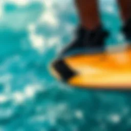 Detailed view of skurfing board design elements