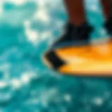 Intricate Design Features of Skurfing Boards Detailed view of skurfing board design elements