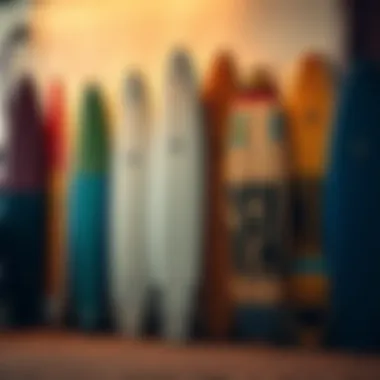 Diverse Skurfing Board Styles Various types of skurfing boards displayed