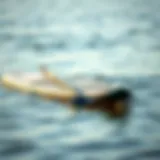 Compact paddle board design showcasing versatility