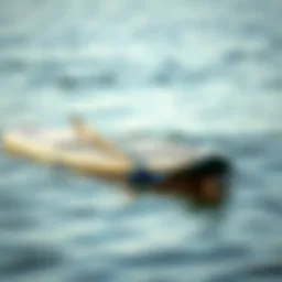Compact paddle board design showcasing versatility