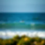 Coastal Serenity: Waves and Soundscapes A serene coastal view with waves crashing gently against the shore