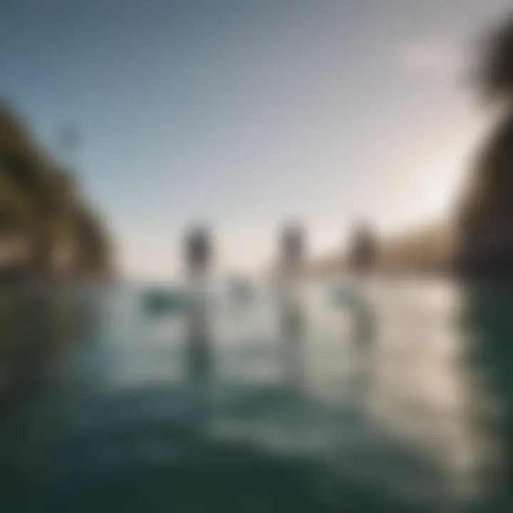 A group of paddle surfers practicing techniques in a calm bay