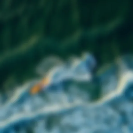 Aerial View of Surf Park Aerial view of a surf park showcasing artificial waves