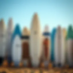 Variety of surfboard shapes displayed