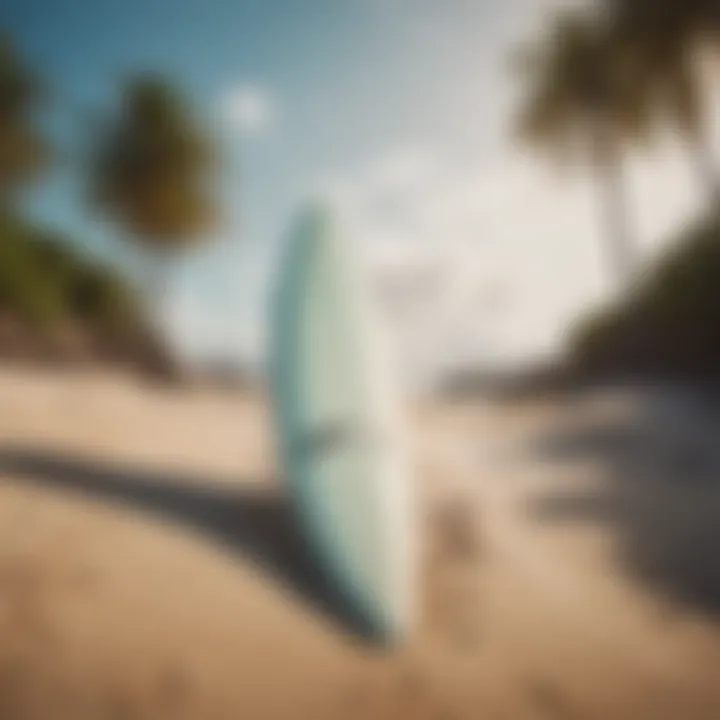 Eco-friendly surfboards displayed on the beach