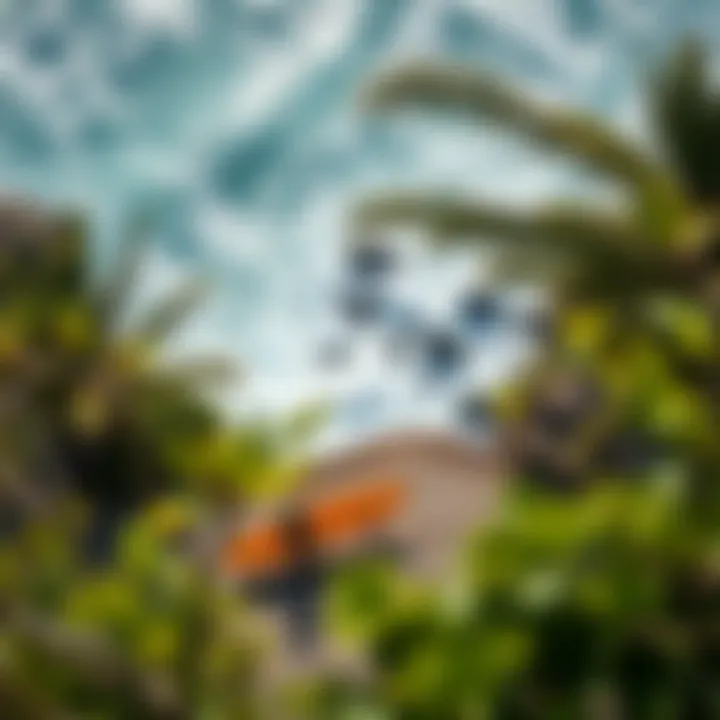 Longboarding in Nature's Embrace An aerial view of a popular longboarding location surrounded by nature