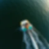 An aerial view of a wake surfer gliding on the water