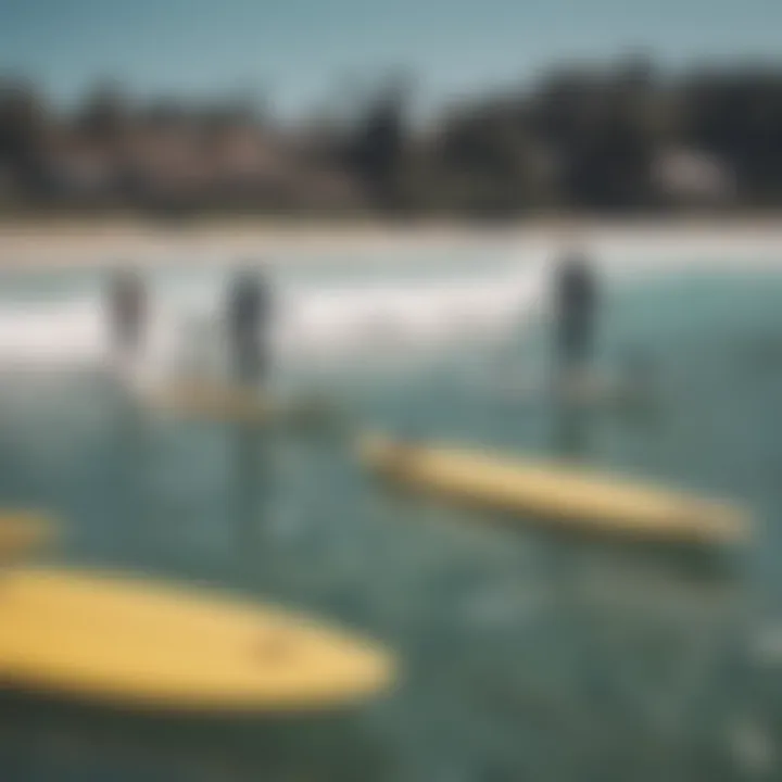 A group of surfers enjoying a sunny day with soft top surfboards