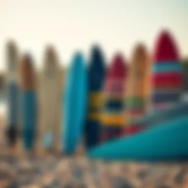 Choosing the Right Equipment for Success Diverse surfboards lined up on a sandy beach