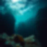 Exploring the Depths: Fascinating Insights into the Ocean Introduction
