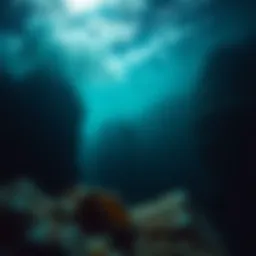 Exploring the Depths: Fascinating Insights into the Ocean Introduction