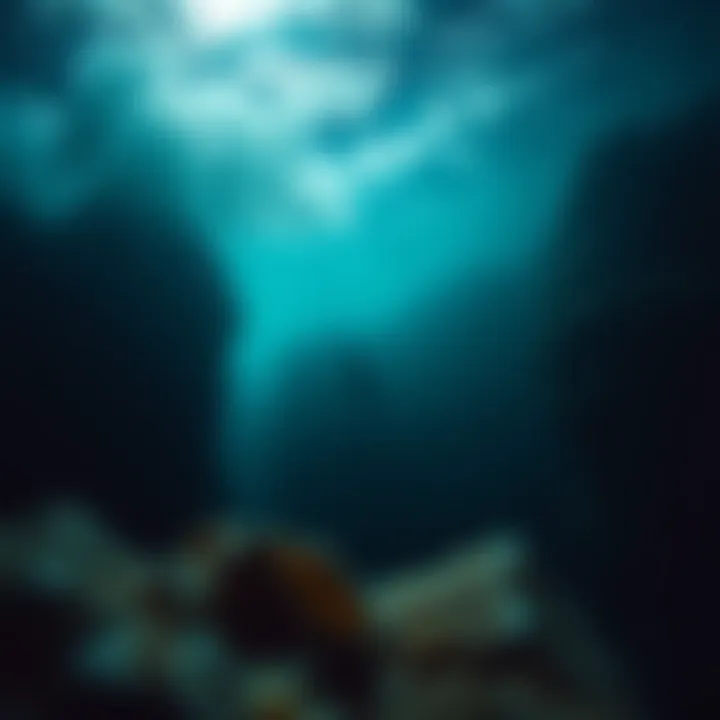 Exploring the Depths: Fascinating Insights into the Ocean Introduction