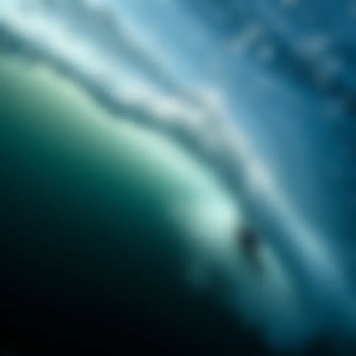 Notable Exploring the Depths: Fascinating Insights into the Ocean