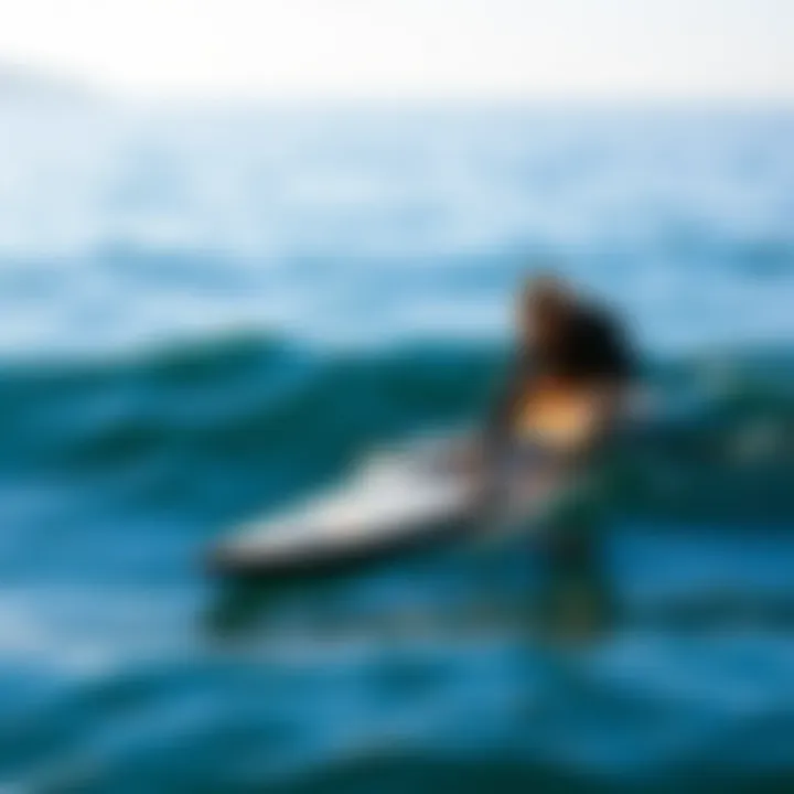 Mastering Paddling Techniques An experienced paddler gliding smoothly across serene waters on a SUP board