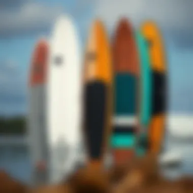 Variety of SUP Board Styles A split image showing different SUP board styles suitable for various environments