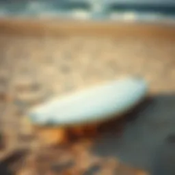A longboard resting on the sandy beach, showcasing its elegant design.