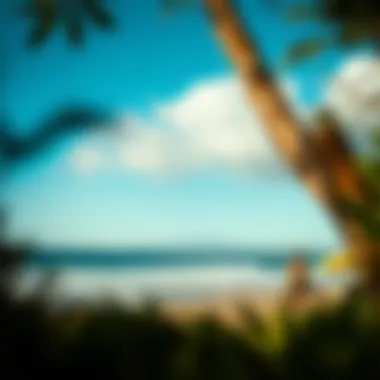 Ecological Efforts in Surf Cities Ecological efforts in a surf city