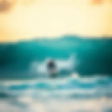 Exploring the Medium Skimboard: A Comprehensive Guide Summary Exploring the Medium Skimboard: A Comprehensive Guide Summary