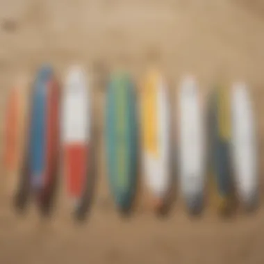 A variety of paddle boards displayed on the beach