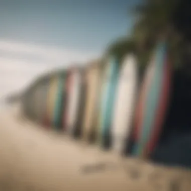 An array of surfboards displayed on the beach with the ocean in the background