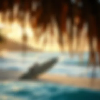 Serene Beach Setting for Surf Enthusiasts Serene beach setting ideal for surf enthusiasts