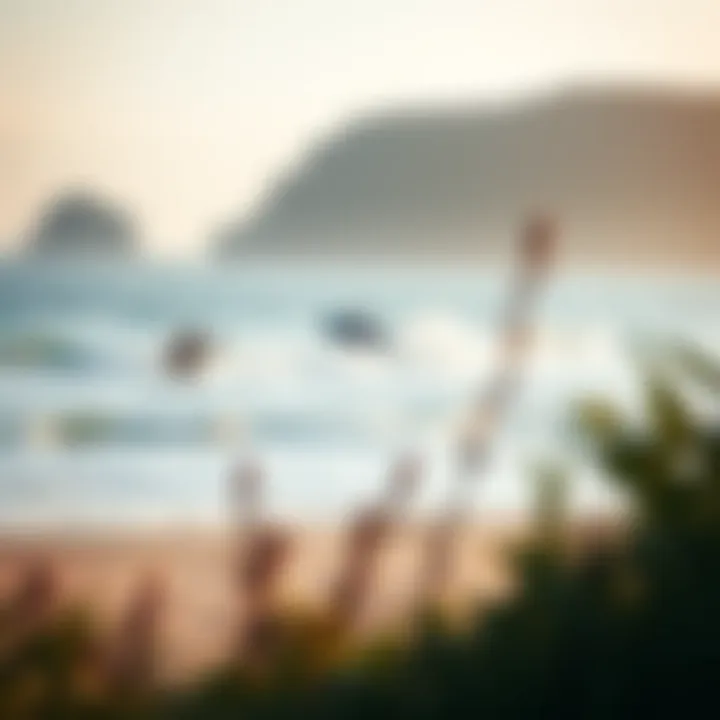 A Day in the Life of a Surfer A serene beach with surfers in the distance