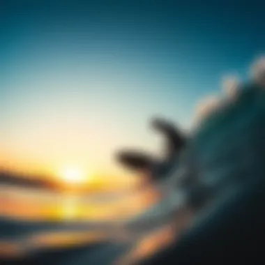 Chasing Sunset Waves Surfer catching a wave at sunset