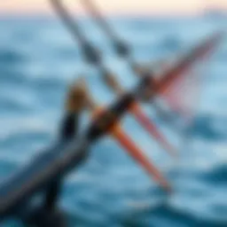 Exploring the Utility of Surf Fishing Rod Holders: Sand Spikes Reviewed Introduction