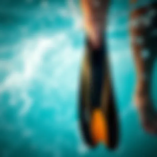 Full-Foot Swim Fins Design Detailed view of full-foot swim fins showcasing their design