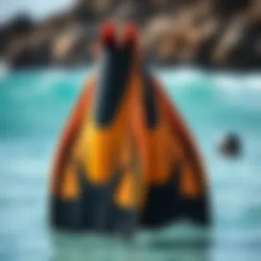 Specialized Swim Fins for Performance Specialized swim fins for specific aquatic activities