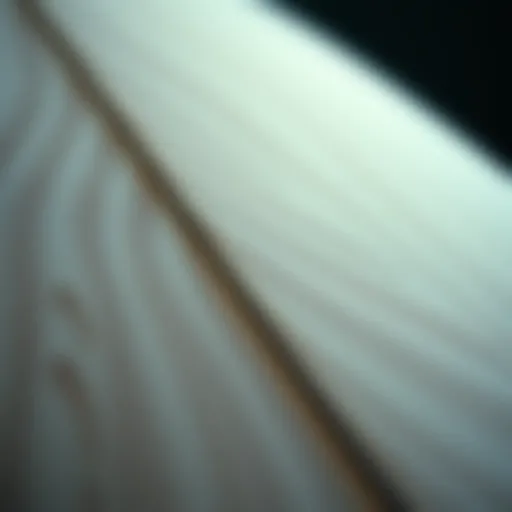 Close-up view of a foam surfboard showcasing its texture and design