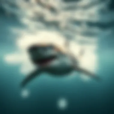 A majestic great white shark gliding through clear waters