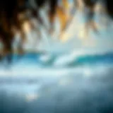 Serene Yucatan coastline with perfect waves