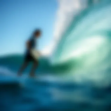 Environmental Impact of Wave Pools Environmental considerations in wave pool construction