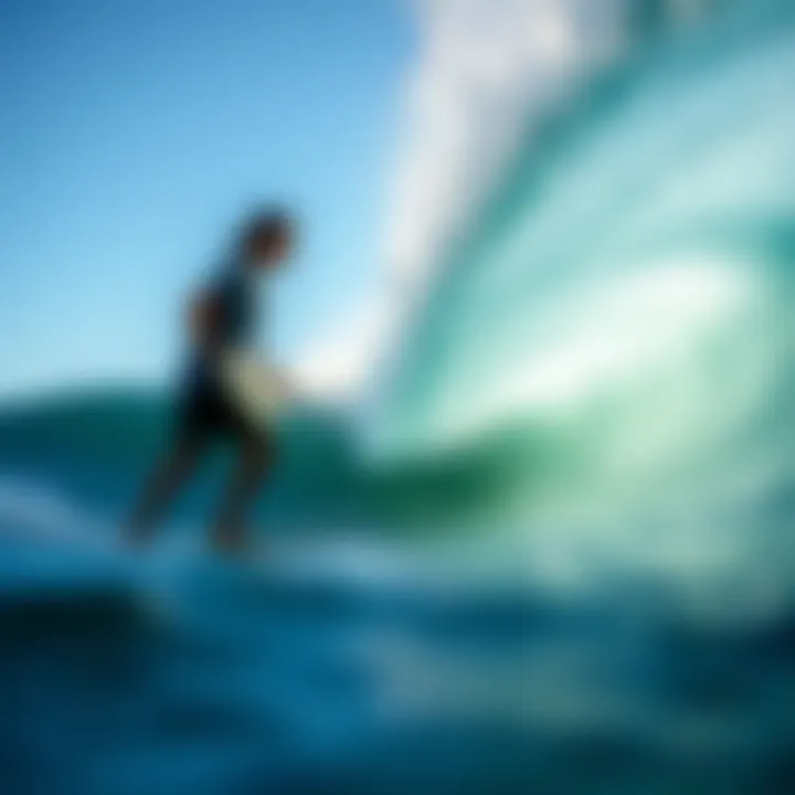 Environmental Impact of Wave Pools Environmental considerations in wave pool construction