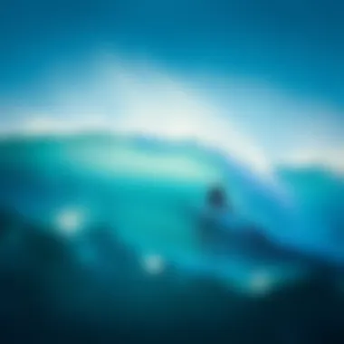 Evolution of Surfing Games Visual representation of the evolution of surfing games