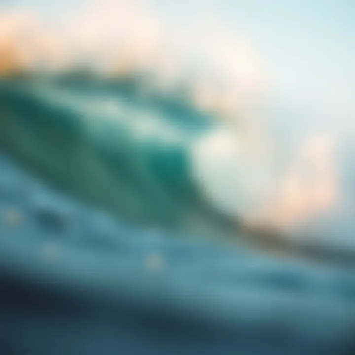 Importance of Hydration for Outdoor Enthusiasts Infographic on the importance of hydration for outdoor enthusiasts