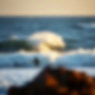 Perfect Surf Spot Surf spot with ideal wind conditions for surfing