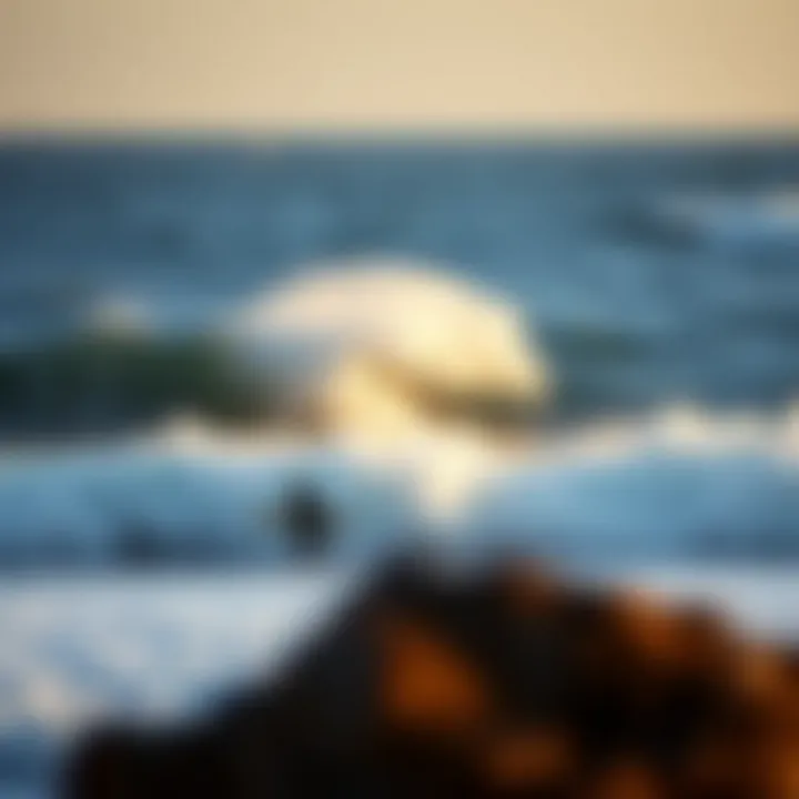 Perfect Surf Spot Surf spot with ideal wind conditions for surfing