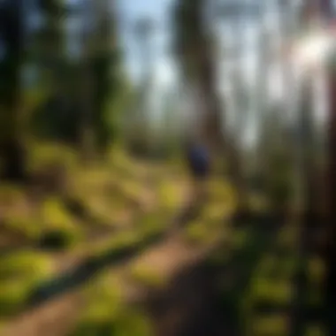 Exploring Scenic Longboarding Trails A scenic view of a longboarding path through a forest trail