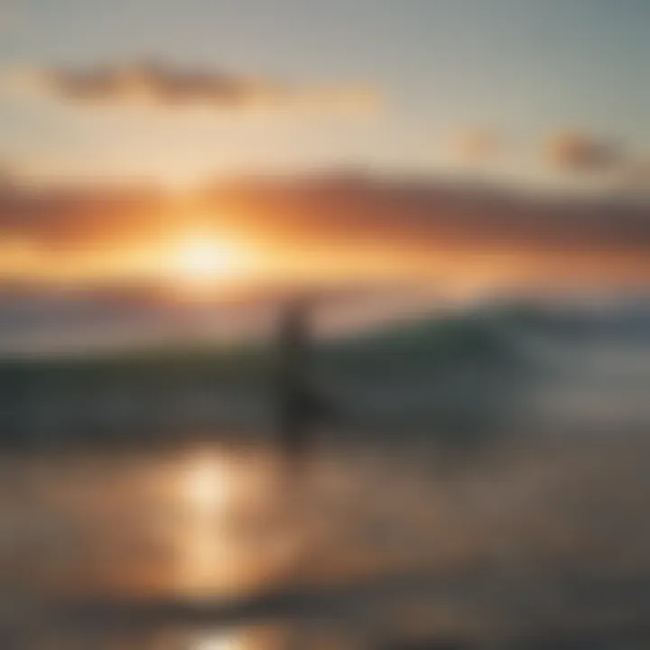 Group of surfers enjoying a sunset session