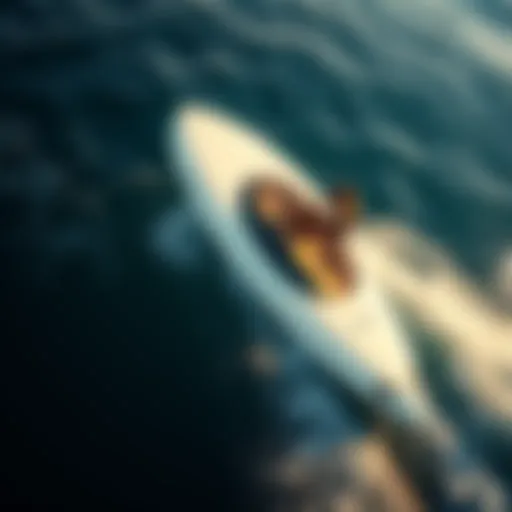 Sleek Design of Motorized Wave Boards A sleek motorized wave board gliding over the ocean waves